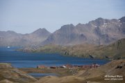 Ancienne station baleinière de Stromness