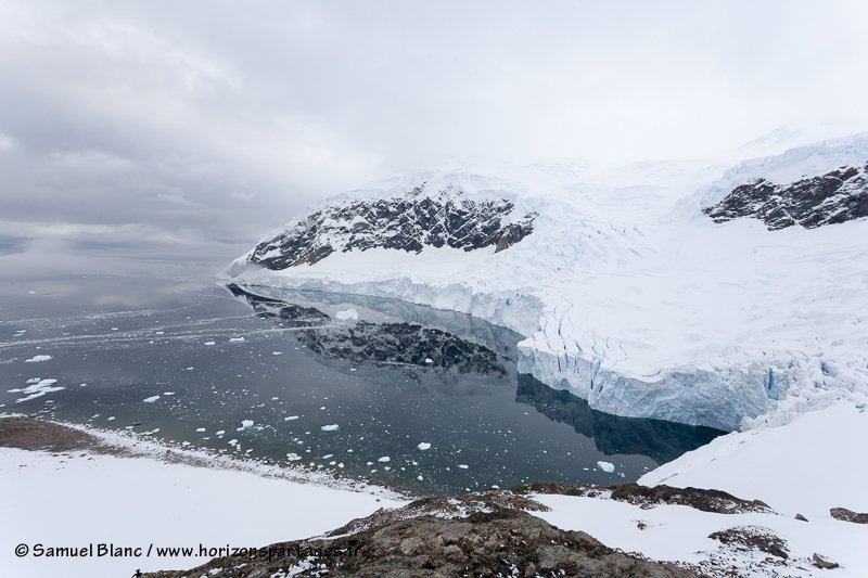 Neko Harbour en péninsule Antarctique