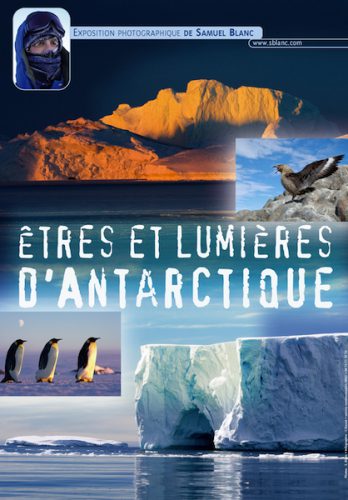 Exposition photos Etres et lumieres d'Antarctique