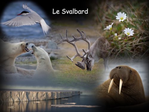Conférence Le Svalbard ou Spitzberg Conférence Le Svalbard ou Spitzberg