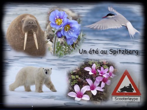 Conférence Un été au Spitzberg Conférence Un été au Spitzberg