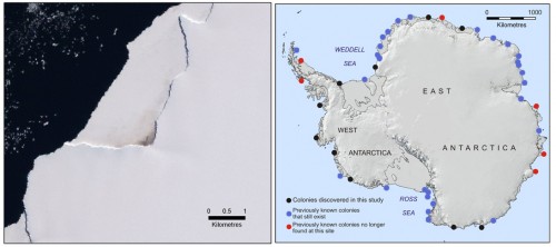 Cartes des colonies de manchots empereurs en Antarctique