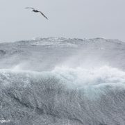 Tempête dans l'océan Austral