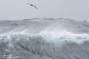 Tempête dans l'océan Austral
