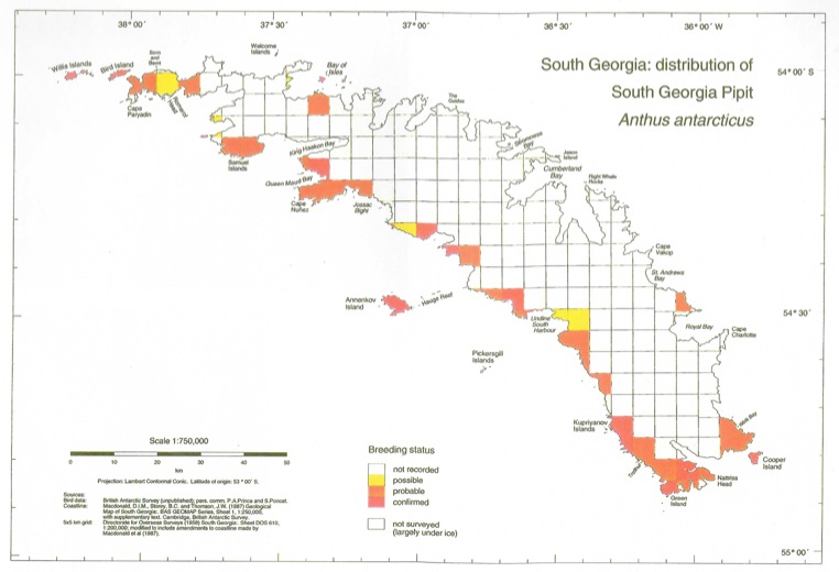 Carte de répartition du pipit de Géorgie du Sud avant la dératisation