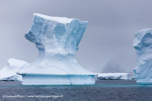 Icebergs proches de l'île Pléneau
