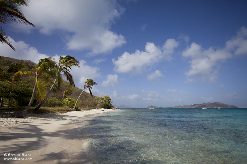 Plage des Tobago Cays