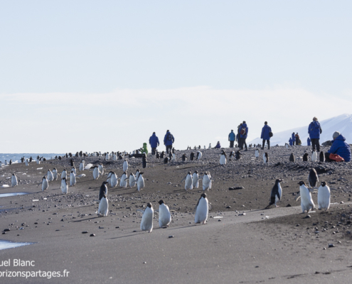 Touristes en mer de Ross, Antarctique