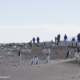 Touristes en mer de Ross, Antarctique