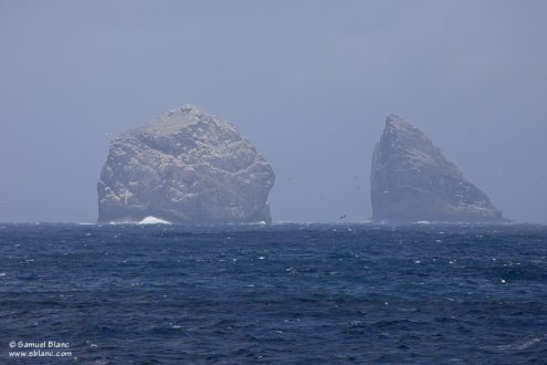 Stac Lee, archipel de Saint Kilda, Ecosse