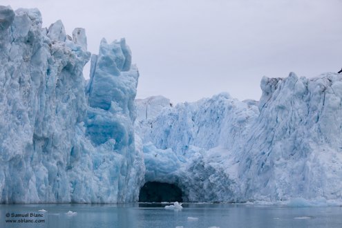 Front du glacier de Monaco