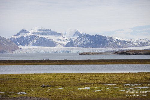 Paysage dans la baie du Roi au Spitzberg