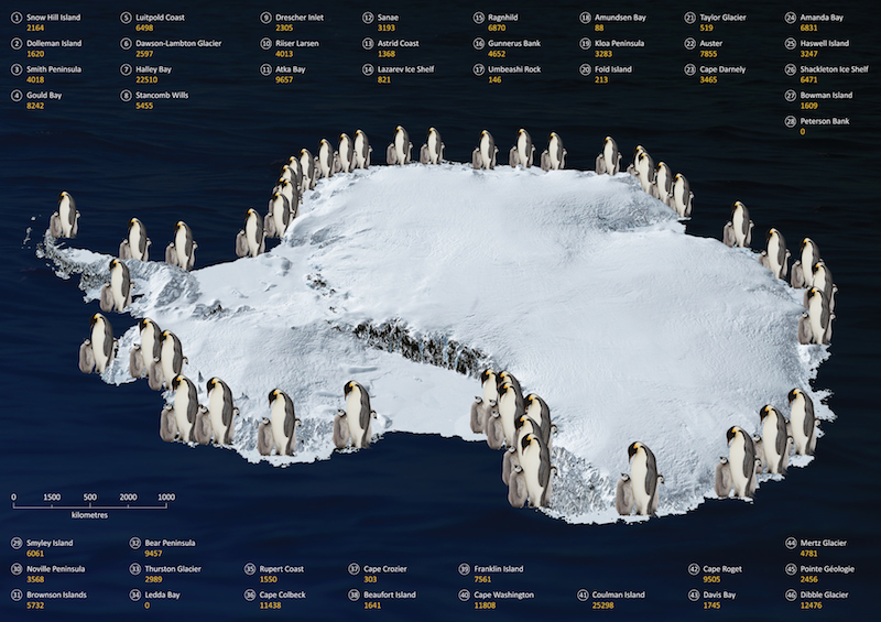 Carte des colonies de manchot empereur en Antarctique