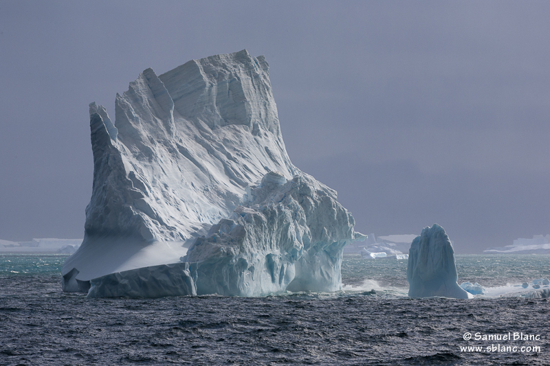 Icebergs dans l'océan Austral