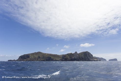 Les îles Antipodes