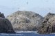 Iles Bounty