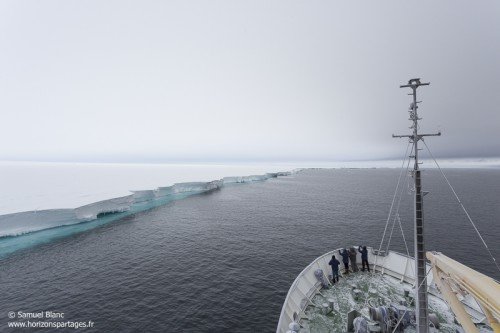 Bay of Whales en mer de Ross