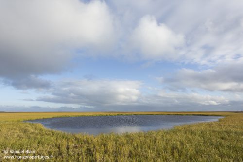 Marais en Tchoukotka