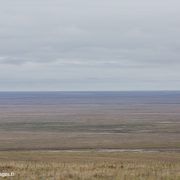 Toundra de l'Akademy de l'île Wrangel