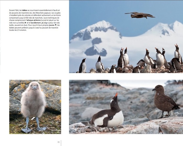 Book : Journey to Antarctica Book : Journey to Antarctica