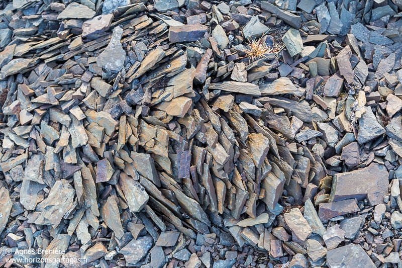 Terre du Nord, Severnaya Zemlya