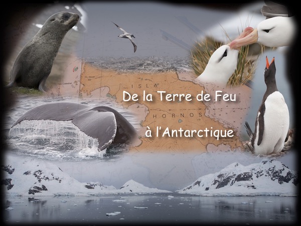 Conférence de la Terre de Feu à l'Antarctique