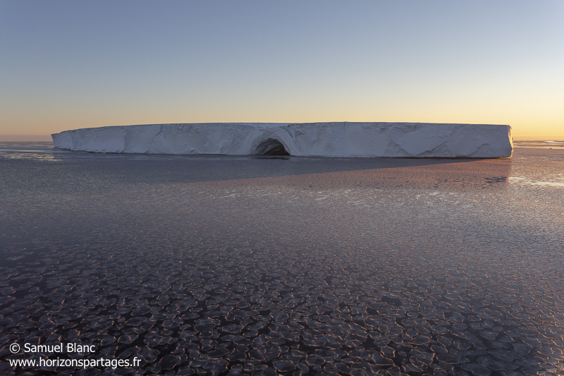 Pancakes et iceberg tabulaire en Antarctique