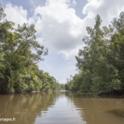 Fleuve Orénoque au Venezuela