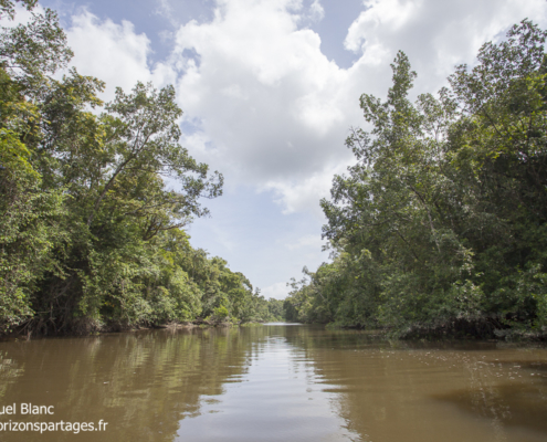 Fleuve Orénoque au Venezuela