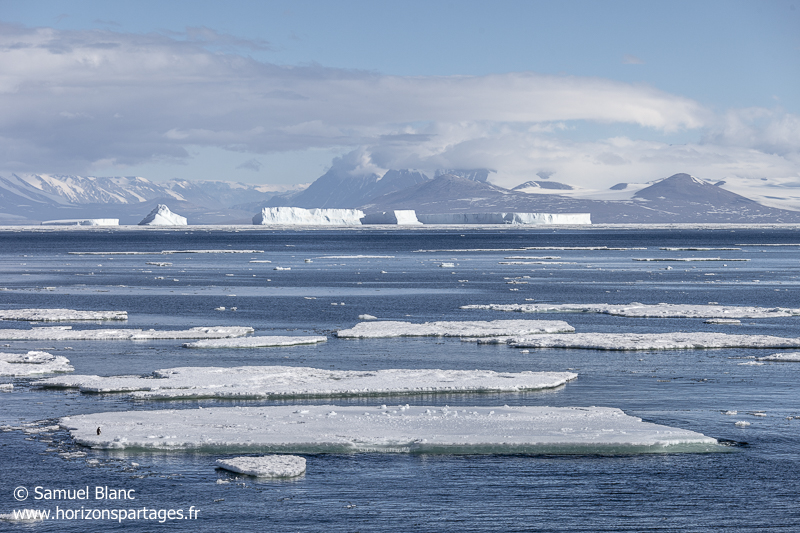 Banquise et icebergs dans le détroit de McMurdo