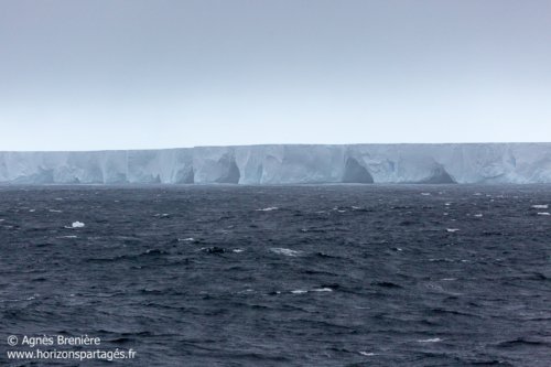L'iceberg A-76A en novembre 2022 au large de la mer de Weddell