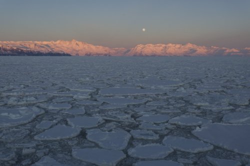 Conférence sur la mer de Ross Conférence sur la mer de Ross