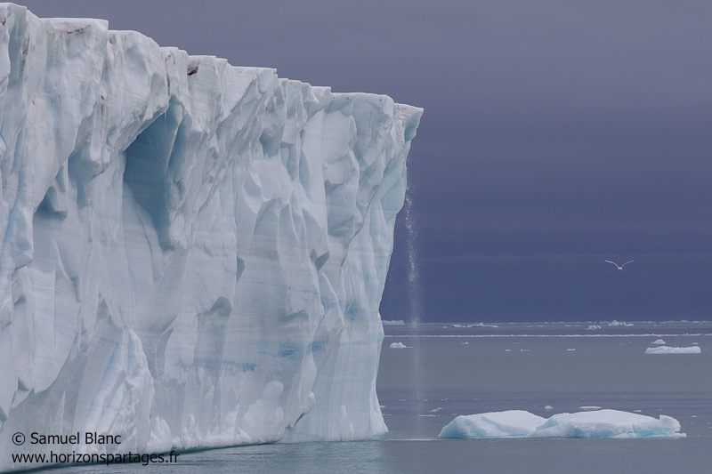 Glacier Bråsvell (Bråsvellbreen) au Svalbard